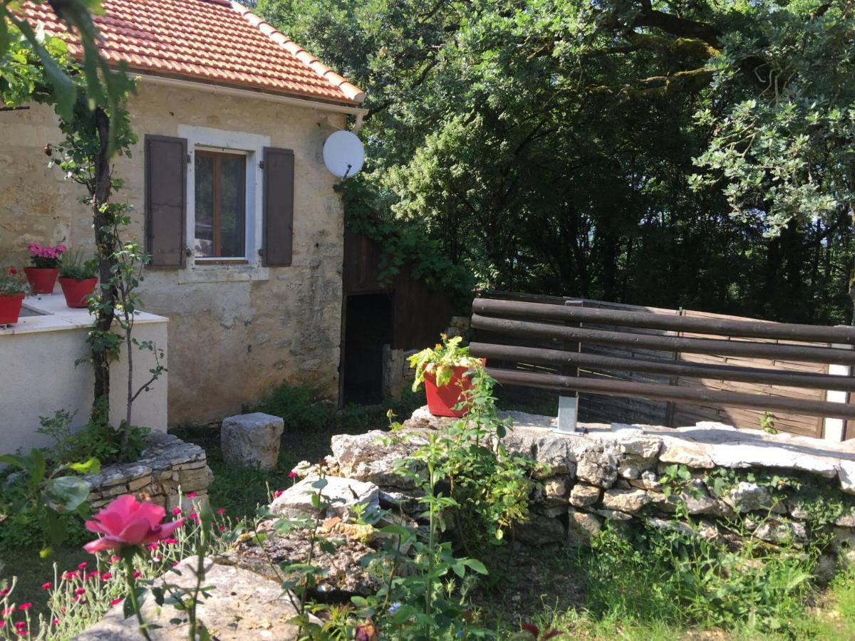 Hébergement de vacances Forgeroc Saint-Cirq-Lapopie